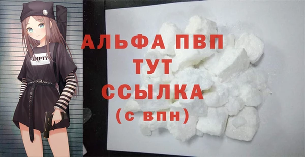 тгк Абаза