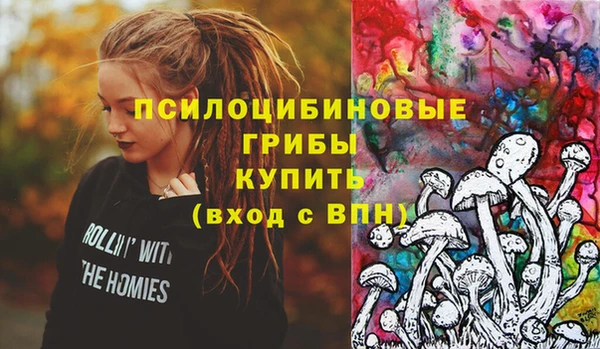 тгк Абаза