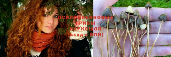 mdpv Абинск