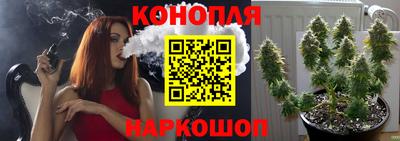 эйфоретик Новодвинск