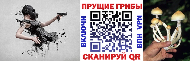 Псилоцибиновые грибы прущие грибы  закладка  Электросталь 