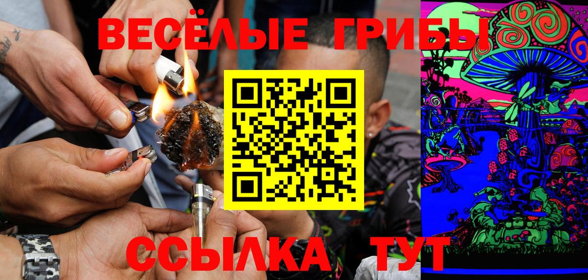 Электросталь  Псилоцибиновые грибы мухоморы  Вход с VPN 